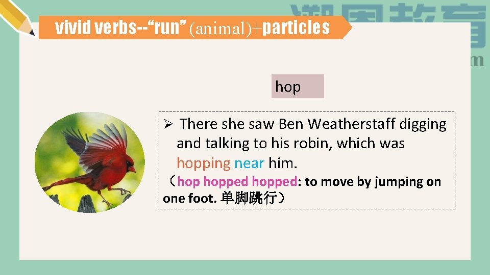vivid verbs--“run” (animal)+particles hop Ø There she saw Ben Weatherstaff digging and talking to