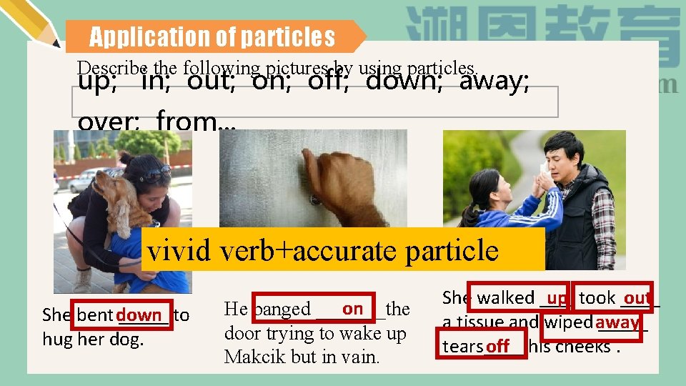 Application of particles Describe the following pictures by using particles. up; in; out; on;