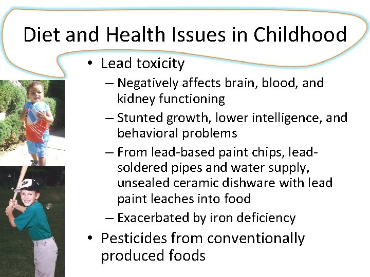 Diet and Health Issues in Childhood • Lead toxicity – Negatively affects brain, blood,
