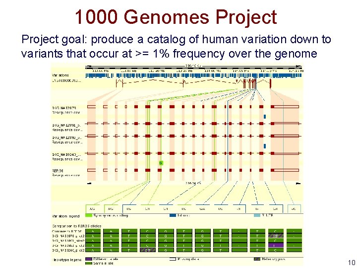 1000 Genomes Project goal: produce a catalog of human variation down to variants that