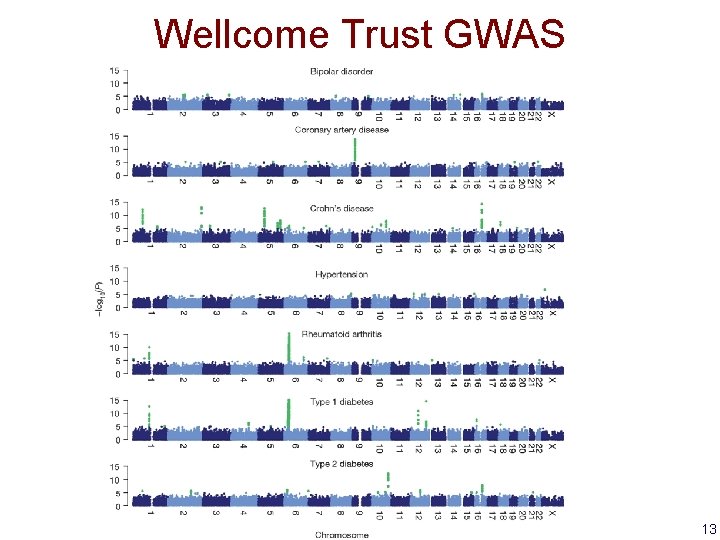 Wellcome Trust GWAS 13 