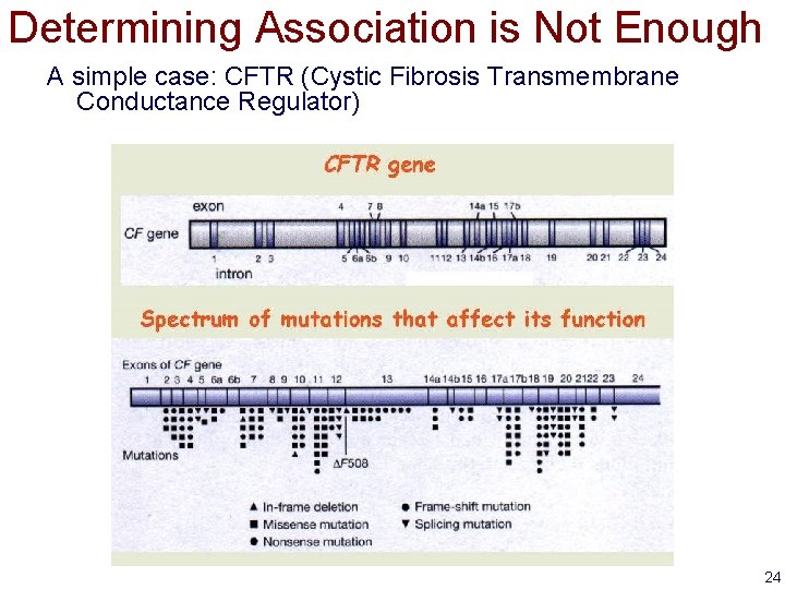 Determining Association is Not Enough A simple case: CFTR (Cystic Fibrosis Transmembrane Conductance Regulator)