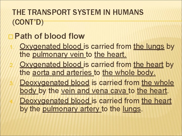 THE TRANSPORT SYSTEM IN HUMANS (CONT’D) � Path 1. 2. 3. 4. of blood THE TRANSPORT SYSTEM IN HUMANS (CONT’D) � Path 1. 2. 3. 4. of blood