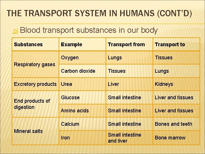 THE TRANSPORT SYSTEM IN HUMANS (CONT’D) Blood transport substances in our body Substances Example THE TRANSPORT SYSTEM IN HUMANS (CONT’D) Blood transport substances in our body Substances Example