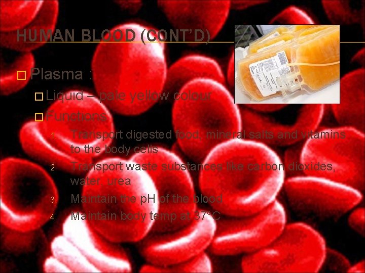 HUMAN BLOOD (CONT’D) � Plasma : � Liquid – pale yellow colour � Functions HUMAN BLOOD (CONT’D) � Plasma : � Liquid – pale yellow colour � Functions