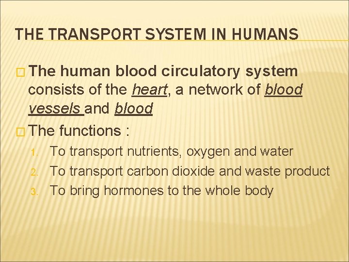 THE TRANSPORT SYSTEM IN HUMANS � The human blood circulatory system consists of the THE TRANSPORT SYSTEM IN HUMANS � The human blood circulatory system consists of the