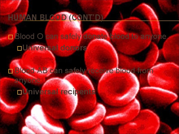 HUMAN BLOOD (CONT’D) � Blood O can safely donate blood to anyone. �Universal donors HUMAN BLOOD (CONT’D) � Blood O can safely donate blood to anyone. �Universal donors