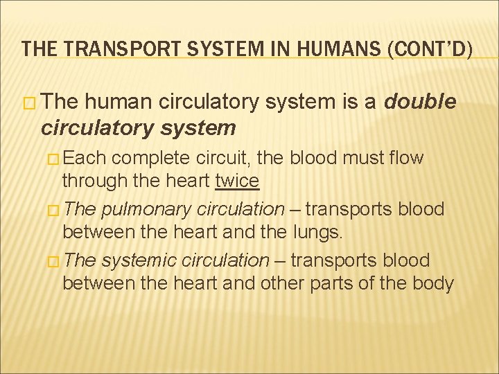 THE TRANSPORT SYSTEM IN HUMANS (CONT’D) � The human circulatory system is a double THE TRANSPORT SYSTEM IN HUMANS (CONT’D) � The human circulatory system is a double