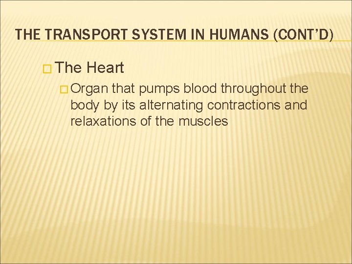 THE TRANSPORT SYSTEM IN HUMANS (CONT’D) � The Heart � Organ that pumps blood THE TRANSPORT SYSTEM IN HUMANS (CONT’D) � The Heart � Organ that pumps blood