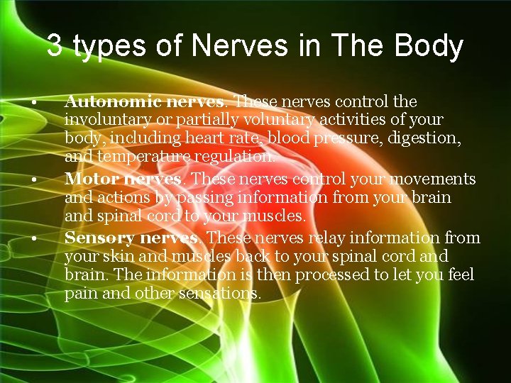 3 types of Nerves in The Body • • • Autonomic nerves. These nerves