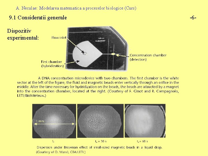 A. Neculae: Modelarea matematica a proceselor biologice (Curs) 9. 1 Consideratii generale Dispozitiv experimental: