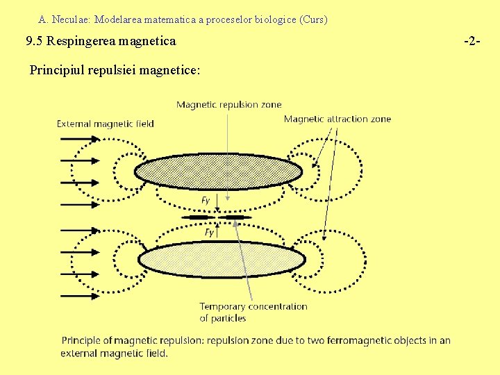 A. Neculae: Modelarea matematica a proceselor biologice (Curs) 9. 5 Respingerea magnetica Principiul repulsiei