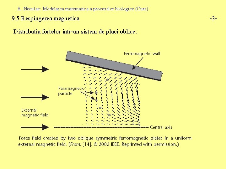 A. Neculae: Modelarea matematica a proceselor biologice (Curs) 9. 5 Respingerea magnetica Distributia fortelor