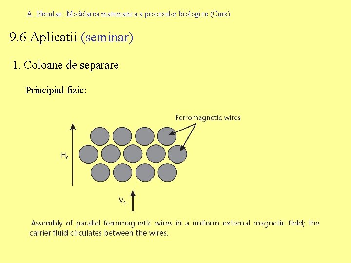 A. Neculae: Modelarea matematica a proceselor biologice (Curs) 9. 6 Aplicatii (seminar) 1. Coloane