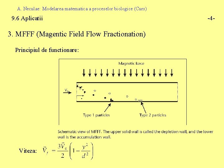 A. Neculae: Modelarea matematica a proceselor biologice (Curs) 9. 6 Aplicatii 3. MFFF (Magentic