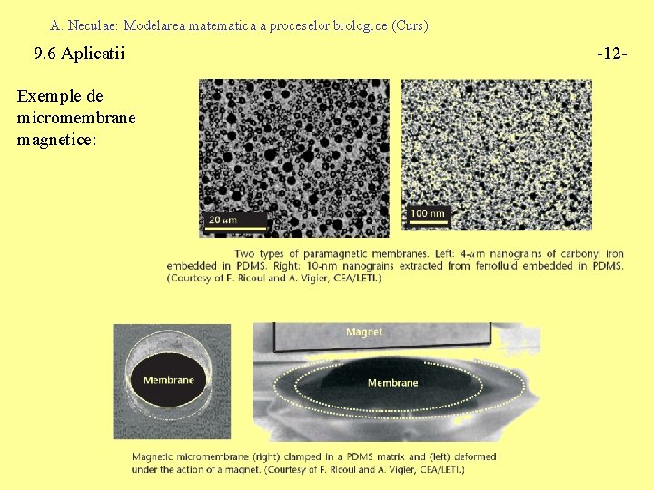 A. Neculae: Modelarea matematica a proceselor biologice (Curs) 9. 6 Aplicatii Exemple de micromembrane
