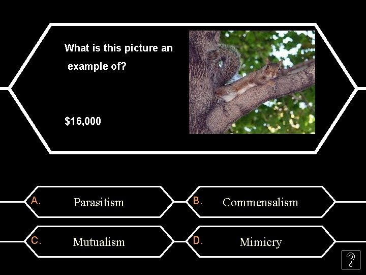 What is this picture an example of? $16, 000 A. Parasitism B. Commensalism C. What is this picture an example of? $16, 000 A. Parasitism B. Commensalism C.