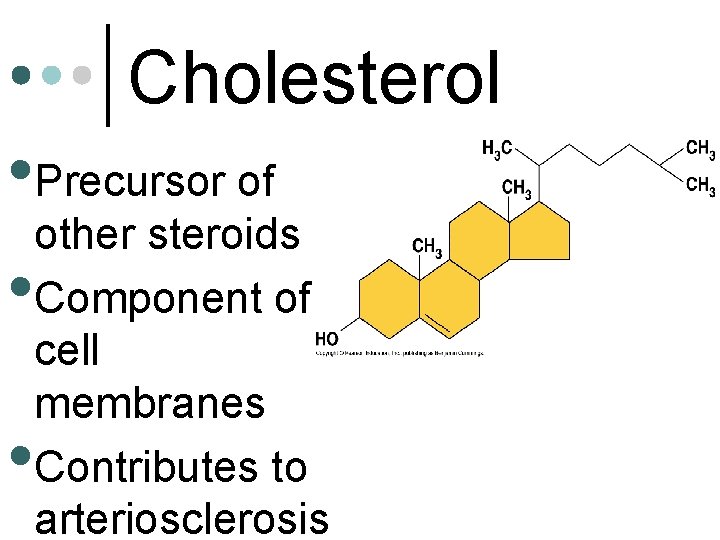 Cholesterol • Precursor of other steroids • Component of cell membranes Contributes to arteriosclerosis