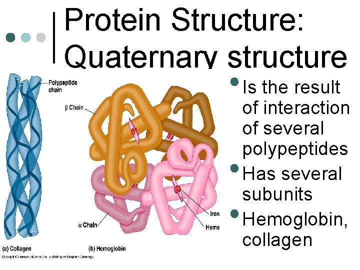 Protein Structure: Quaternary structure • Is the result • • of interaction of several