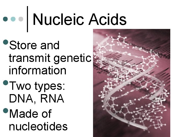 Nucleic Acids • Store and transmit genetic information Two types: DNA, RNA Made of