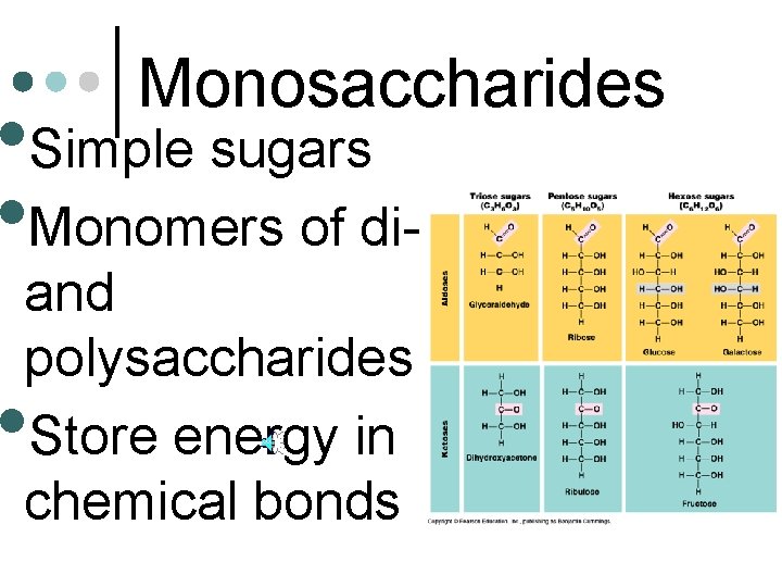 Monosaccharides • Simple sugars • Monomers of diand polysaccharides Store energy in chemical bonds