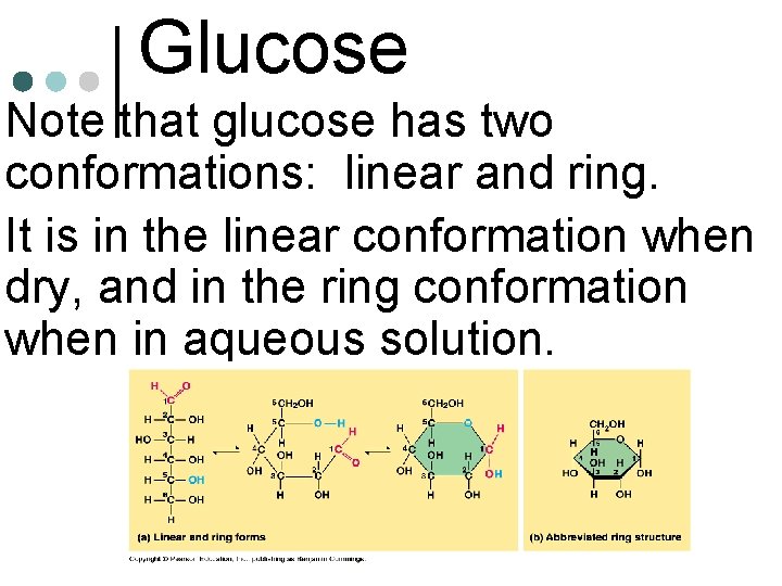 Glucose • Note that glucose has two conformations: linear and ring. • It is