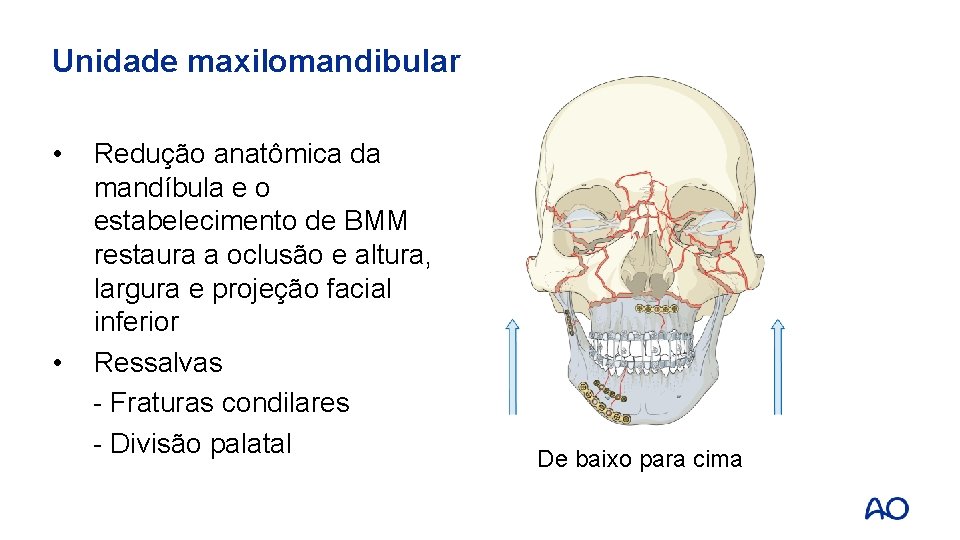 Unidade maxilomandibular • • Redução anatômica da mandíbula e o estabelecimento de BMM restaura