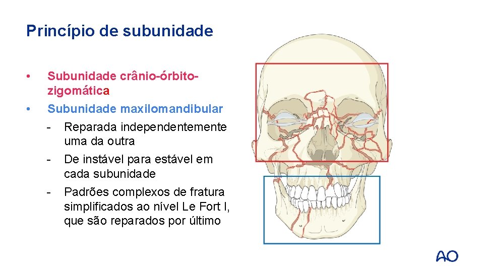 Princípio de subunidade • • Subunidade crânio-órbitozigomática Subunidade maxilomandibular - Reparada independentemente uma da