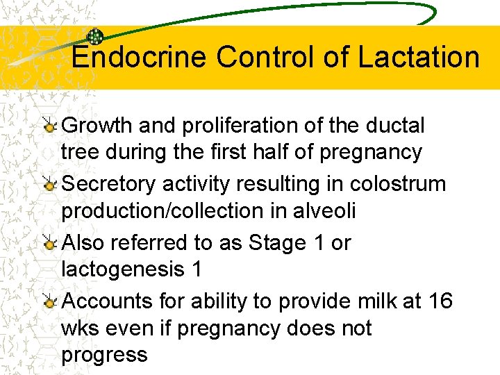 Endocrine Control of Lactation Growth and proliferation of the ductal tree during the first