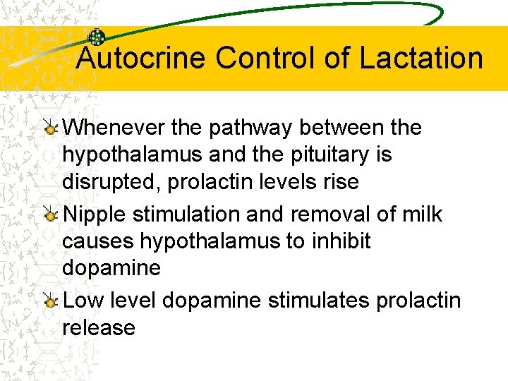 Autocrine Control of Lactation Whenever the pathway between the hypothalamus and the pituitary is