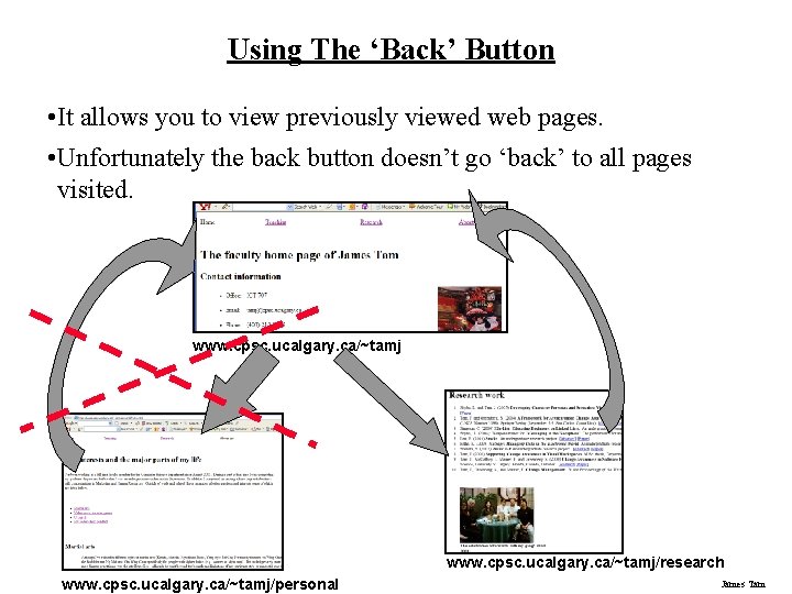 Using The ‘Back’ Button • It allows you to view previously viewed web pages.
