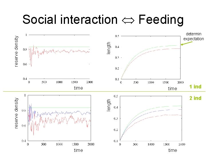 Social interaction Feeding length reserve density determin expectation time 1 ind 2 ind length