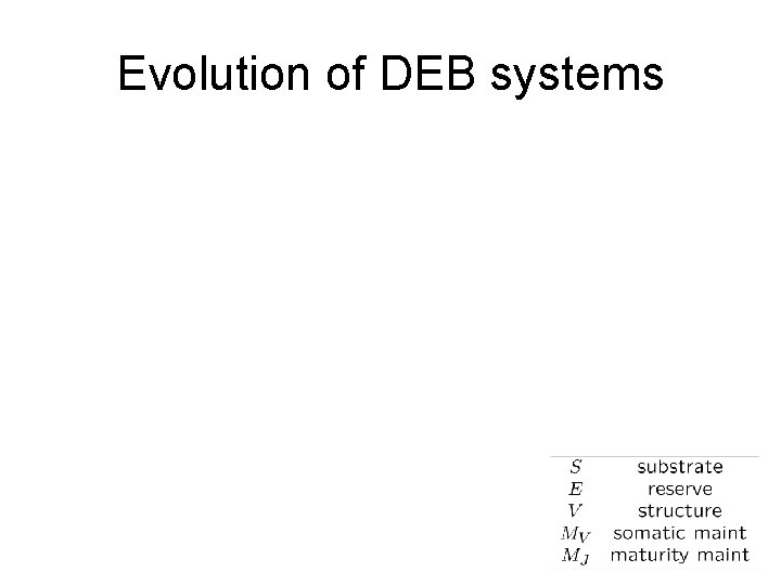 Evolution of DEB systems 