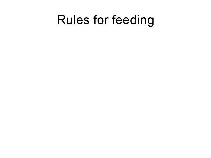 Rules for feeding 