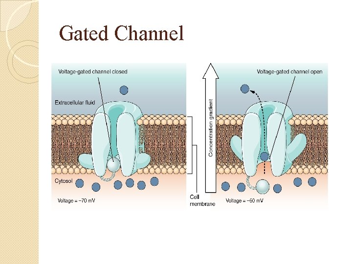 Gated Channel 