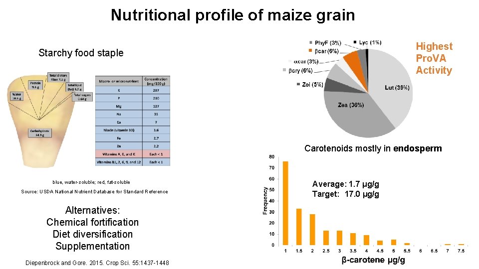 Nutritional profile of maize grain Highest Pro. VA Activity Starchy food staple Carotenoids mostly