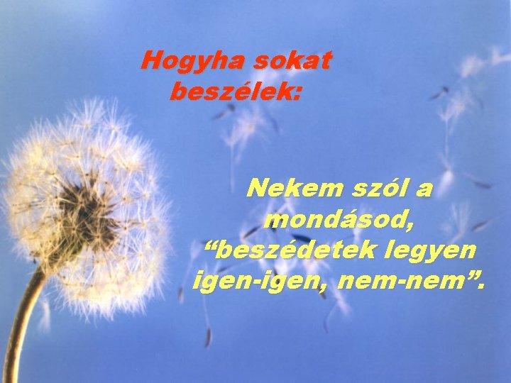 Hogyha sokat beszélek: Nekem szól a mondásod, “beszédetek legyen igen-igen, nem-nem”. 