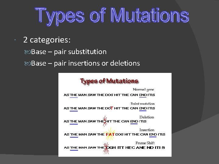 2 categories: Base – pair substitution Base – pair insertions or deletions 