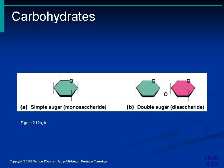 Carbohydrates Figure 2. 12 a, b Copyright © 2003 Pearson Education, Inc. publishing as Carbohydrates Figure 2. 12 a, b Copyright © 2003 Pearson Education, Inc. publishing as