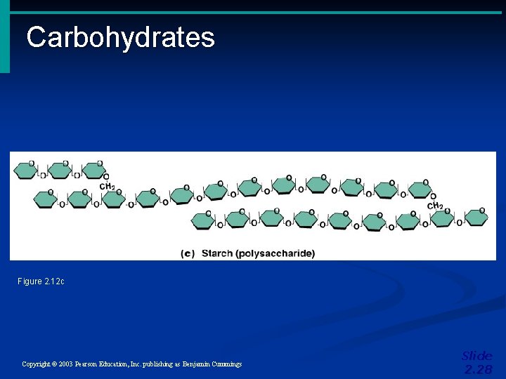 Carbohydrates Figure 2. 12 c Copyright © 2003 Pearson Education, Inc. publishing as Benjamin Carbohydrates Figure 2. 12 c Copyright © 2003 Pearson Education, Inc. publishing as Benjamin