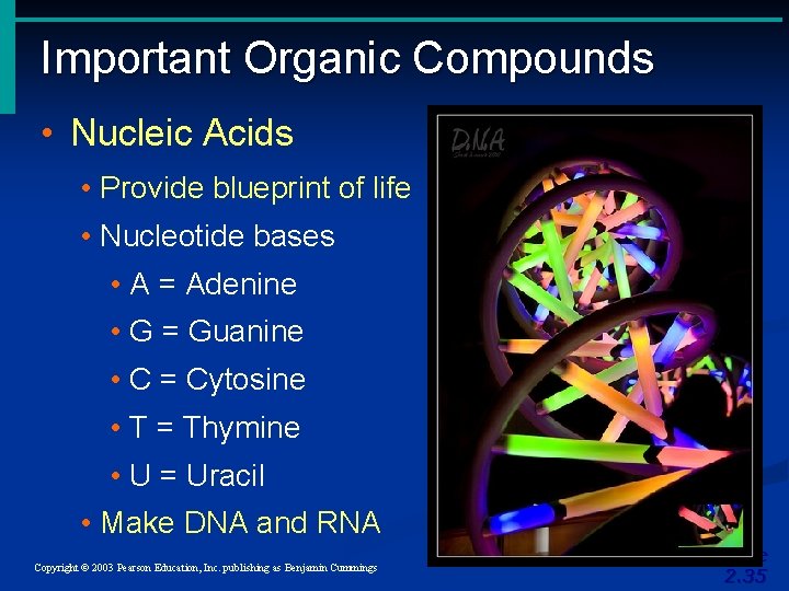 Important Organic Compounds • Nucleic Acids • Provide blueprint of life • Nucleotide bases Important Organic Compounds • Nucleic Acids • Provide blueprint of life • Nucleotide bases