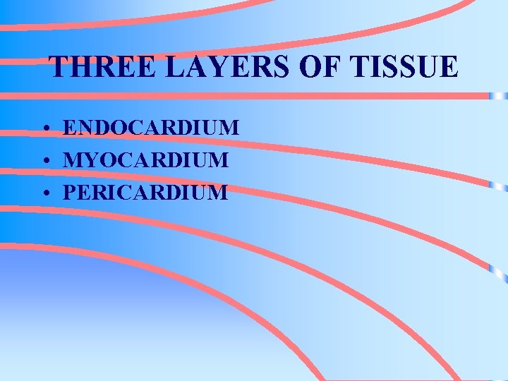 THREE LAYERS OF TISSUE • ENDOCARDIUM • MYOCARDIUM • PERICARDIUM 