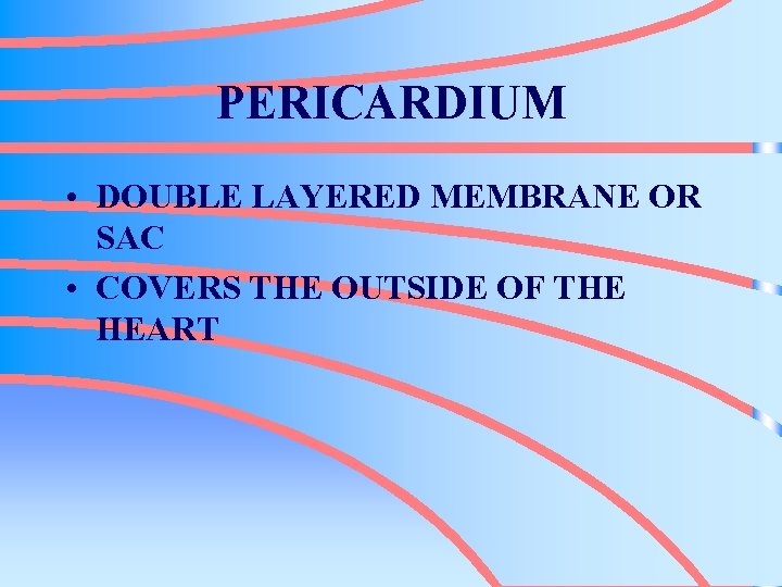PERICARDIUM • DOUBLE LAYERED MEMBRANE OR SAC • COVERS THE OUTSIDE OF THE HEART