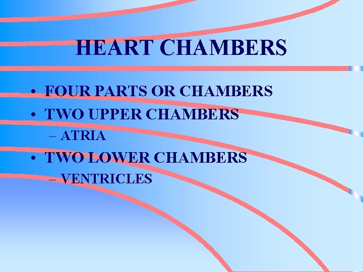 HEART CHAMBERS • FOUR PARTS OR CHAMBERS • TWO UPPER CHAMBERS – ATRIA •