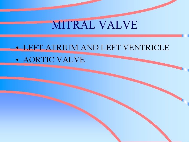 MITRAL VALVE • LEFT ATRIUM AND LEFT VENTRICLE • AORTIC VALVE 