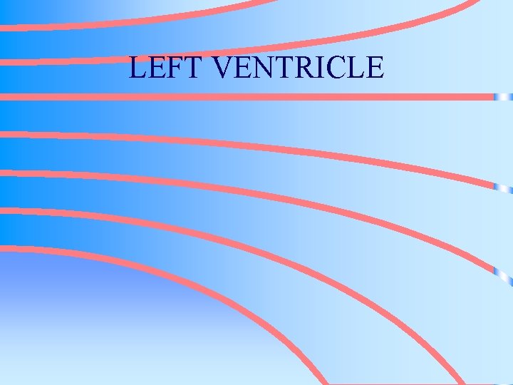 LEFT VENTRICLE 