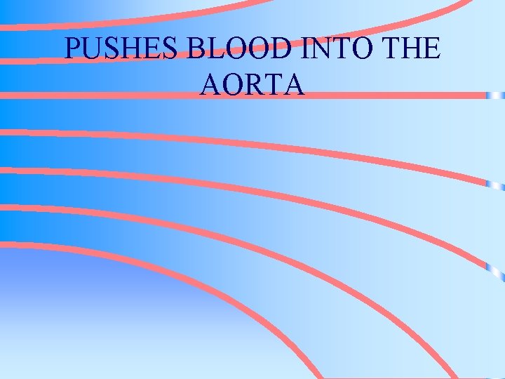 PUSHES BLOOD INTO THE AORTA 