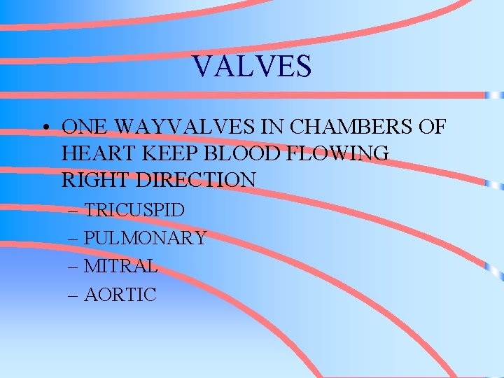 VALVES • ONE WAYVALVES IN CHAMBERS OF HEART KEEP BLOOD FLOWING RIGHT DIRECTION –