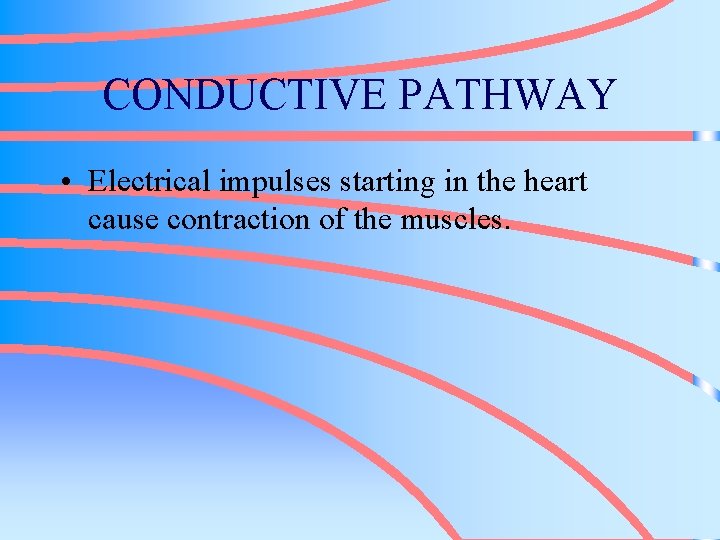 CONDUCTIVE PATHWAY • Electrical impulses starting in the heart cause contraction of the muscles.