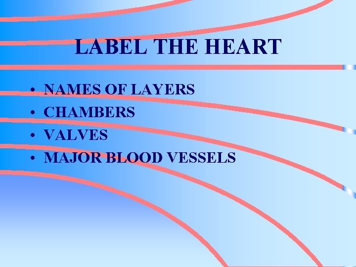 LABEL THE HEART • • NAMES OF LAYERS CHAMBERS VALVES MAJOR BLOOD VESSELS 